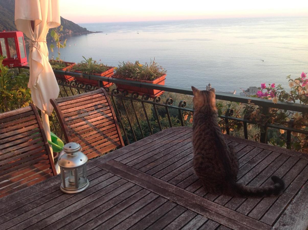 Suite con Vista Mare