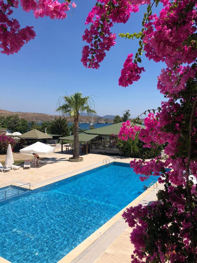 Suite Pool View