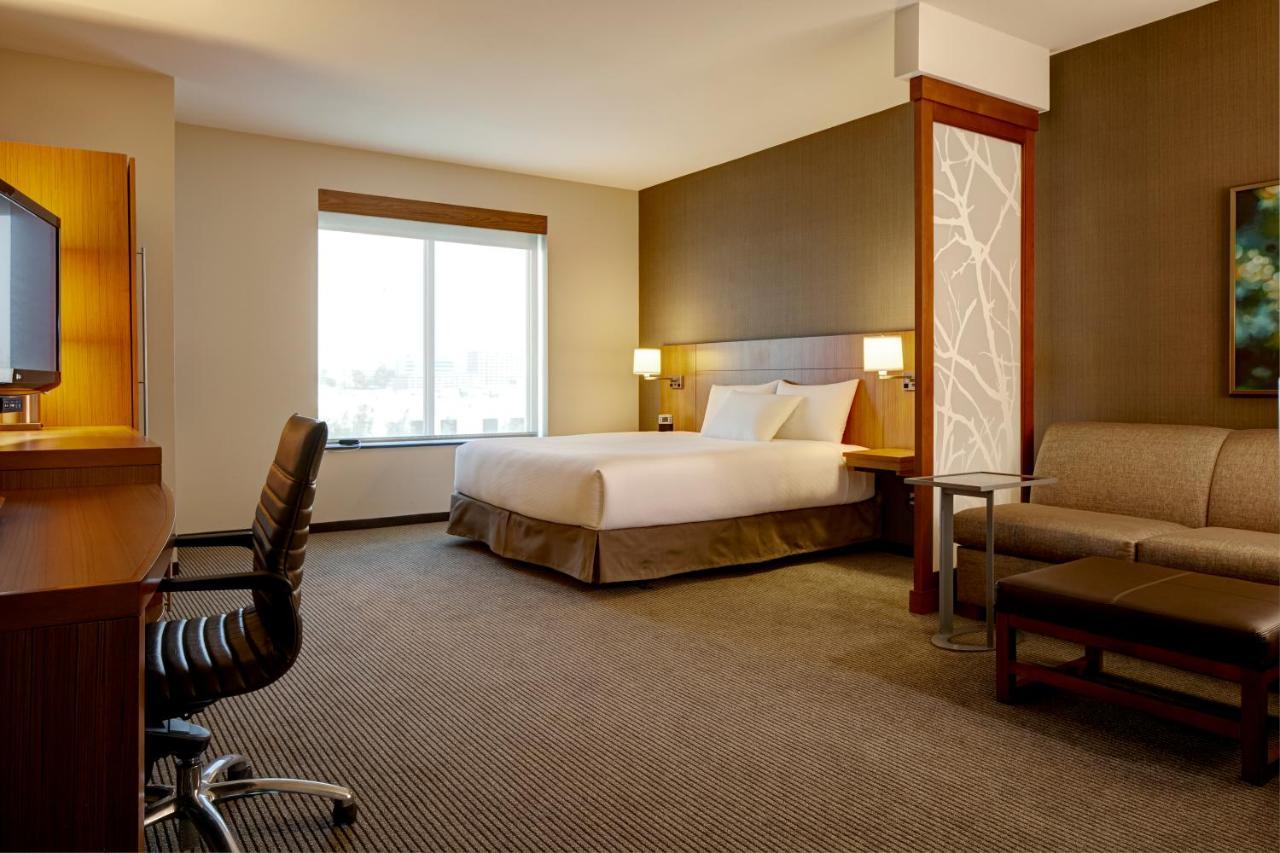 King Room Sofa Bed