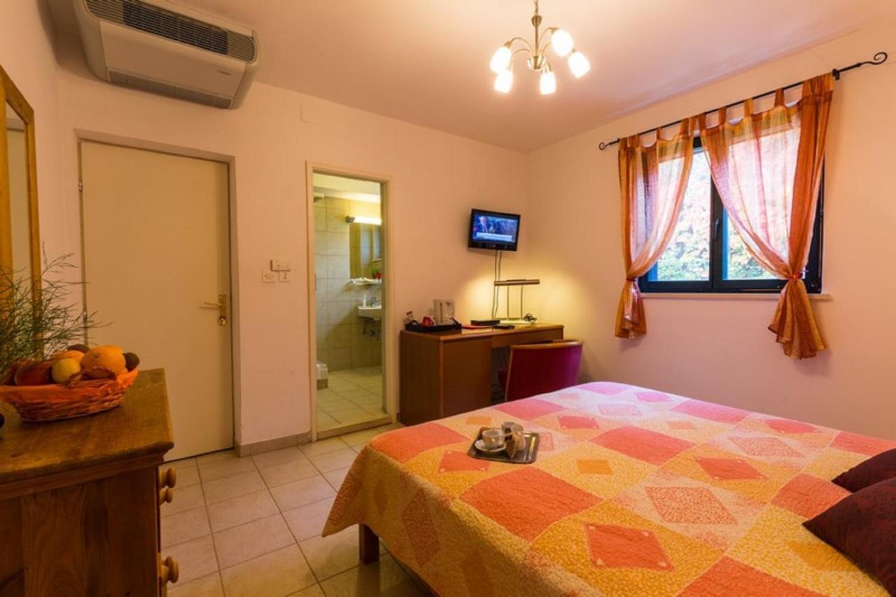 Standard Twin Room Airport Transfer