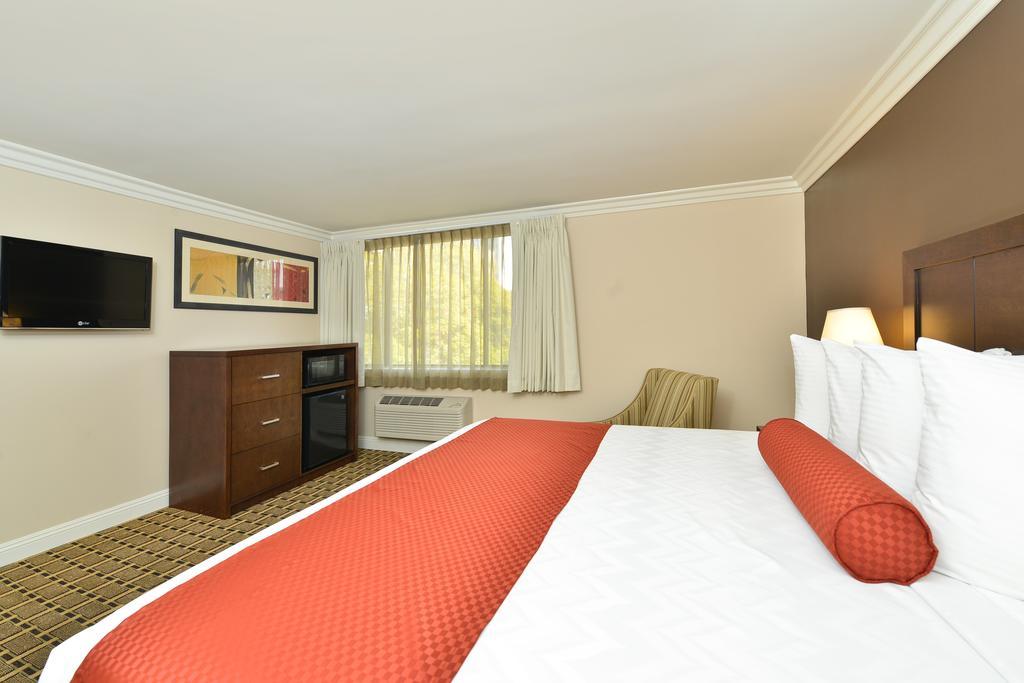 Kamer met Kingsize Bed - Rookvrij