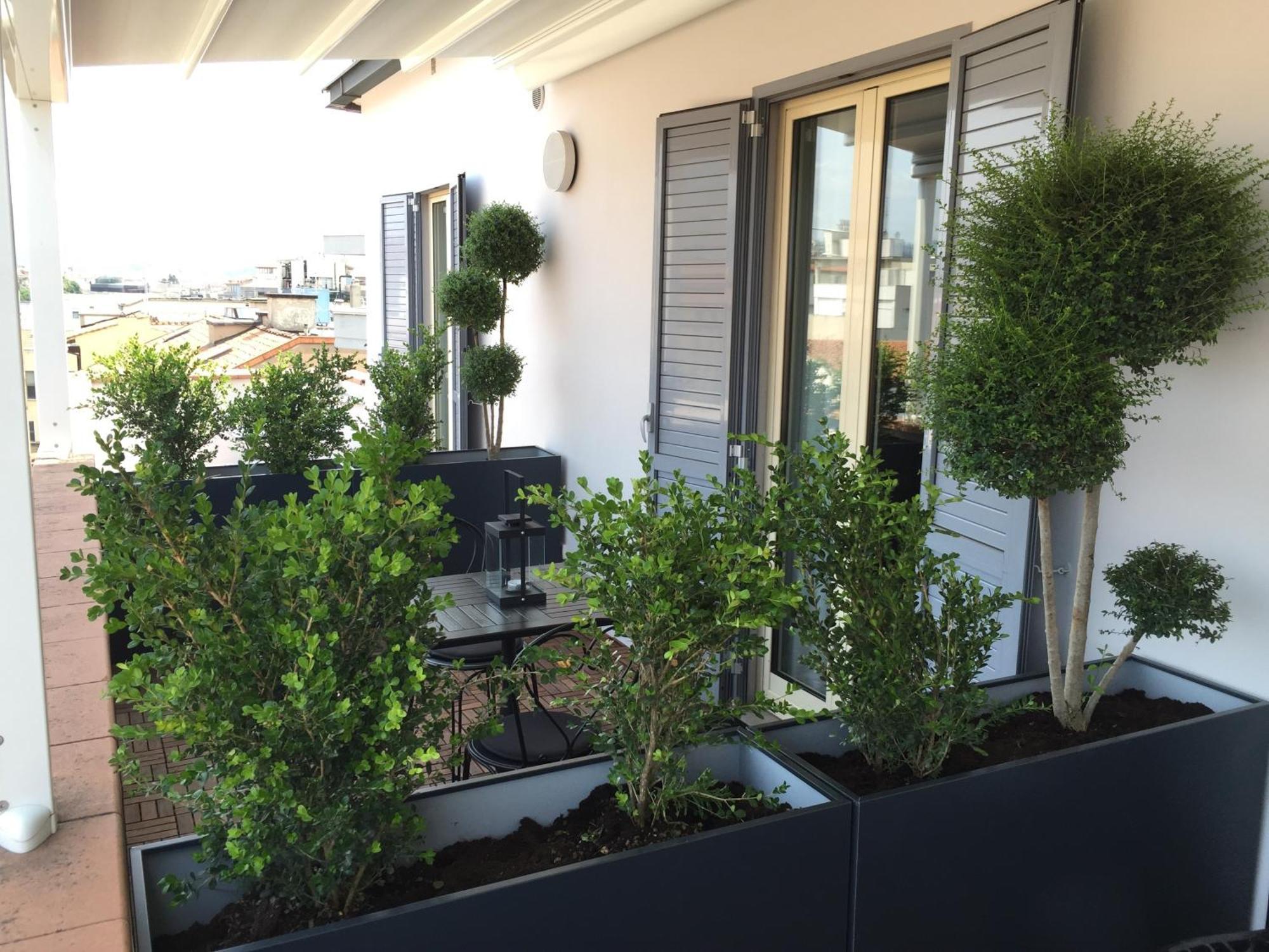 Habitación Doble Superior con terraza
