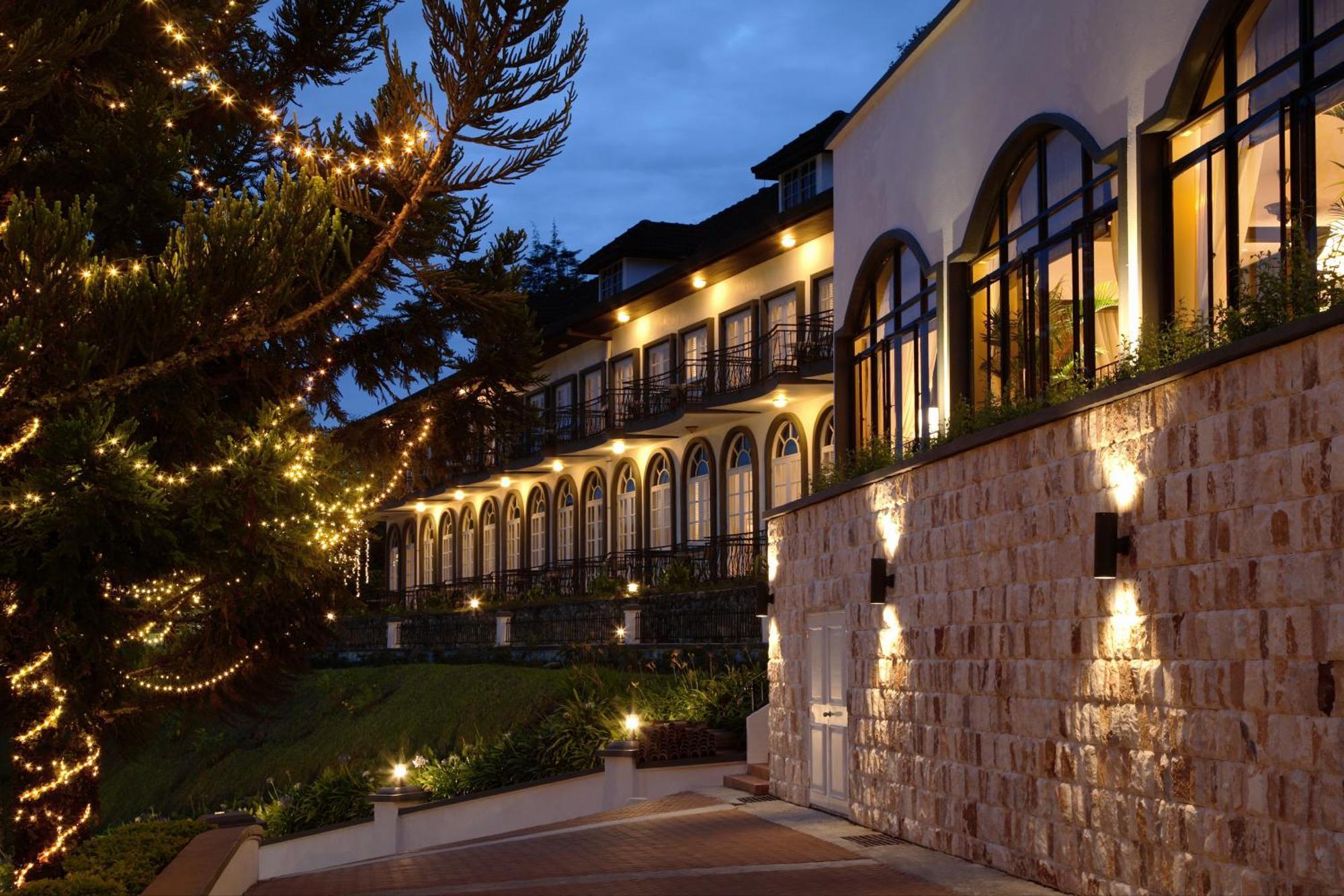 Deluxe Room - Christmas Tree Lighting Package