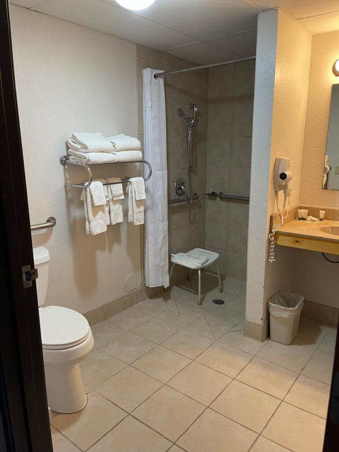 Double Room Disability Access,1328990393:JPEG