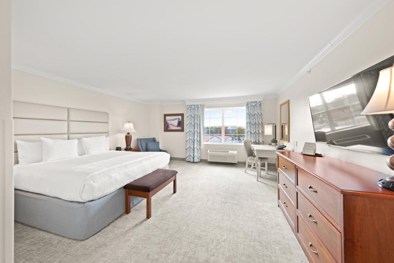 King Room Pool View