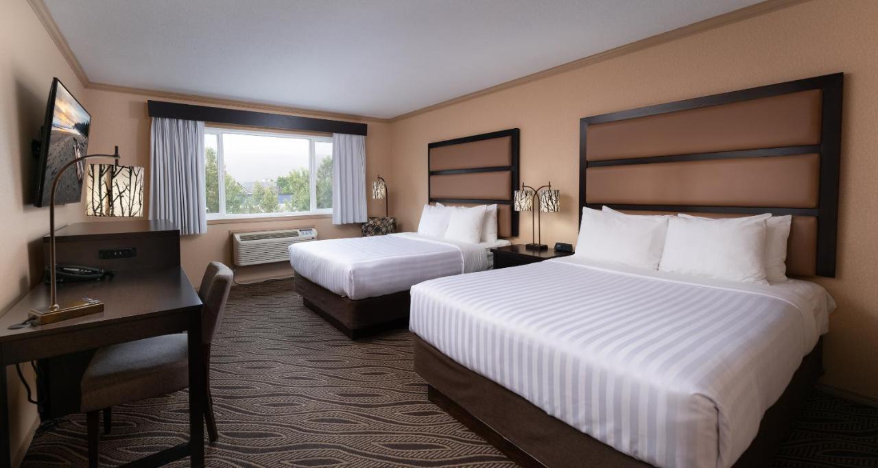 Deluxe Queen Room Two Queen Beds