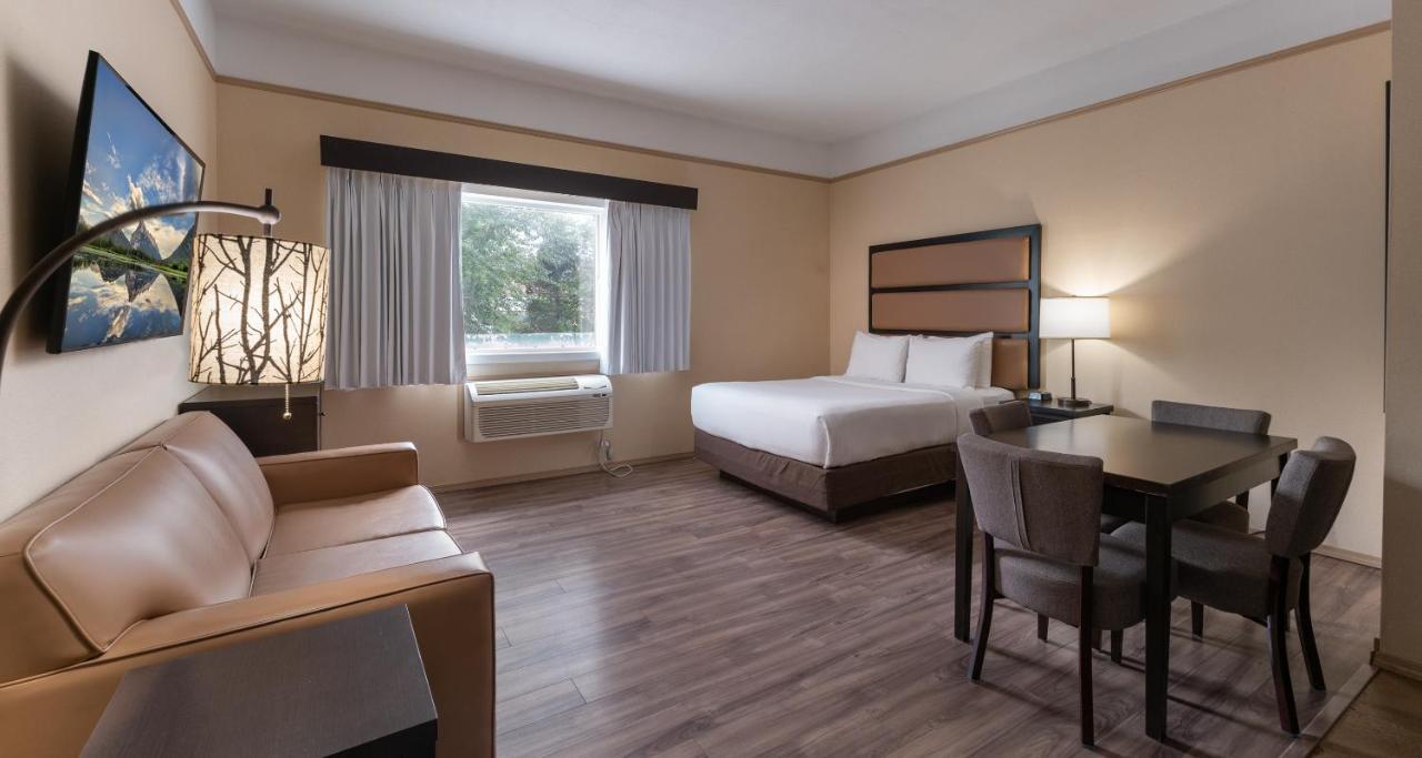 Deluxe Queen Room Kitchenette