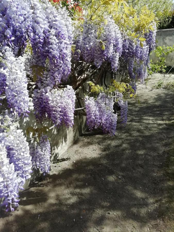 Chambre Double - Vue sur Jardin