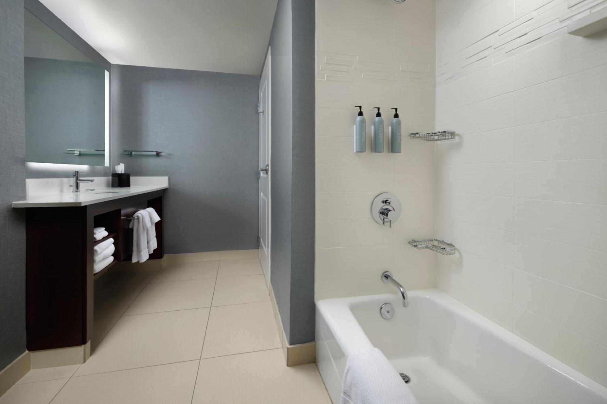 Newly Renovated One-Bedroom King Suite Sofa Bed Hearing Accessible