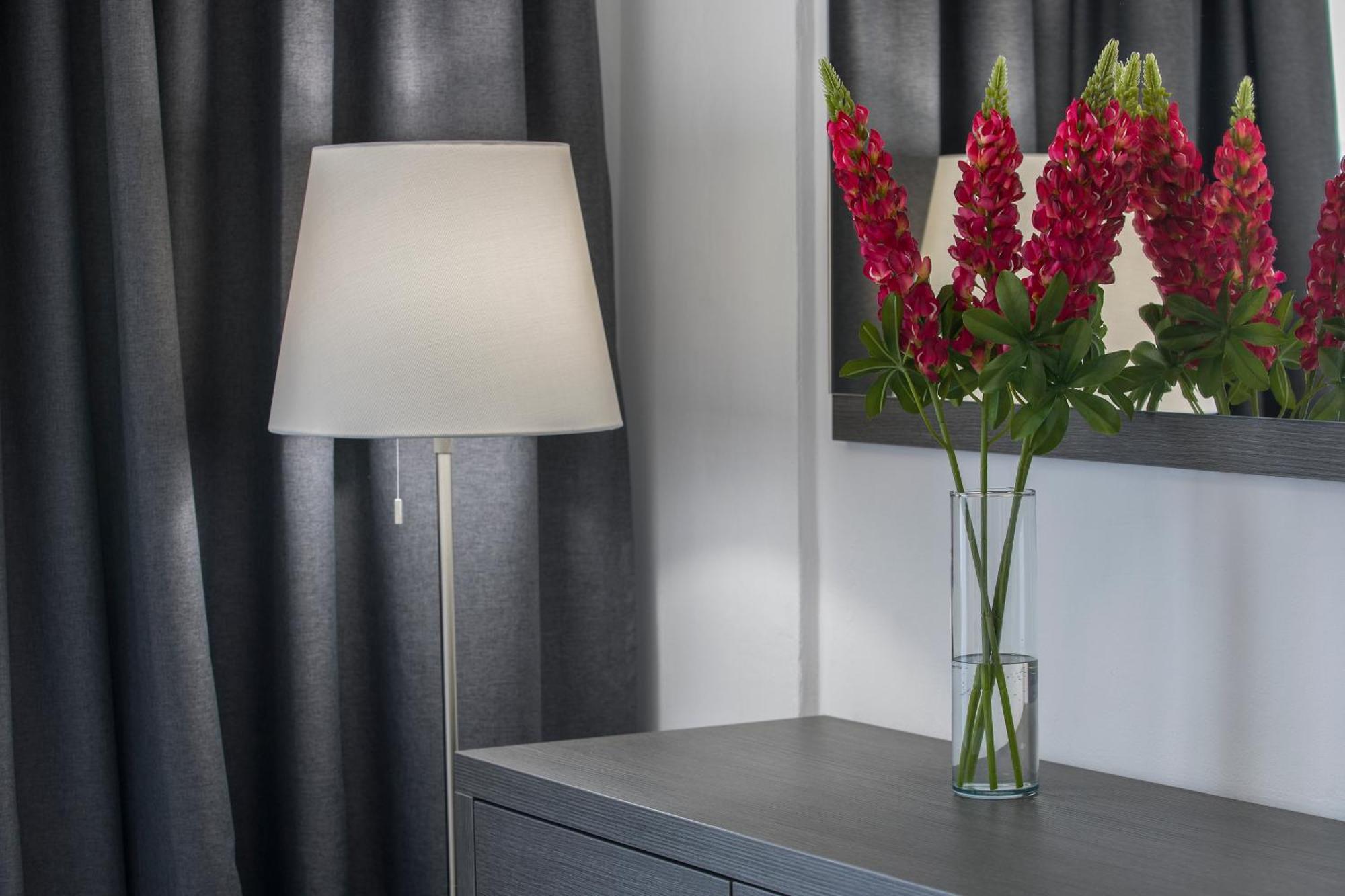 Superior One-Bedroom Apartment