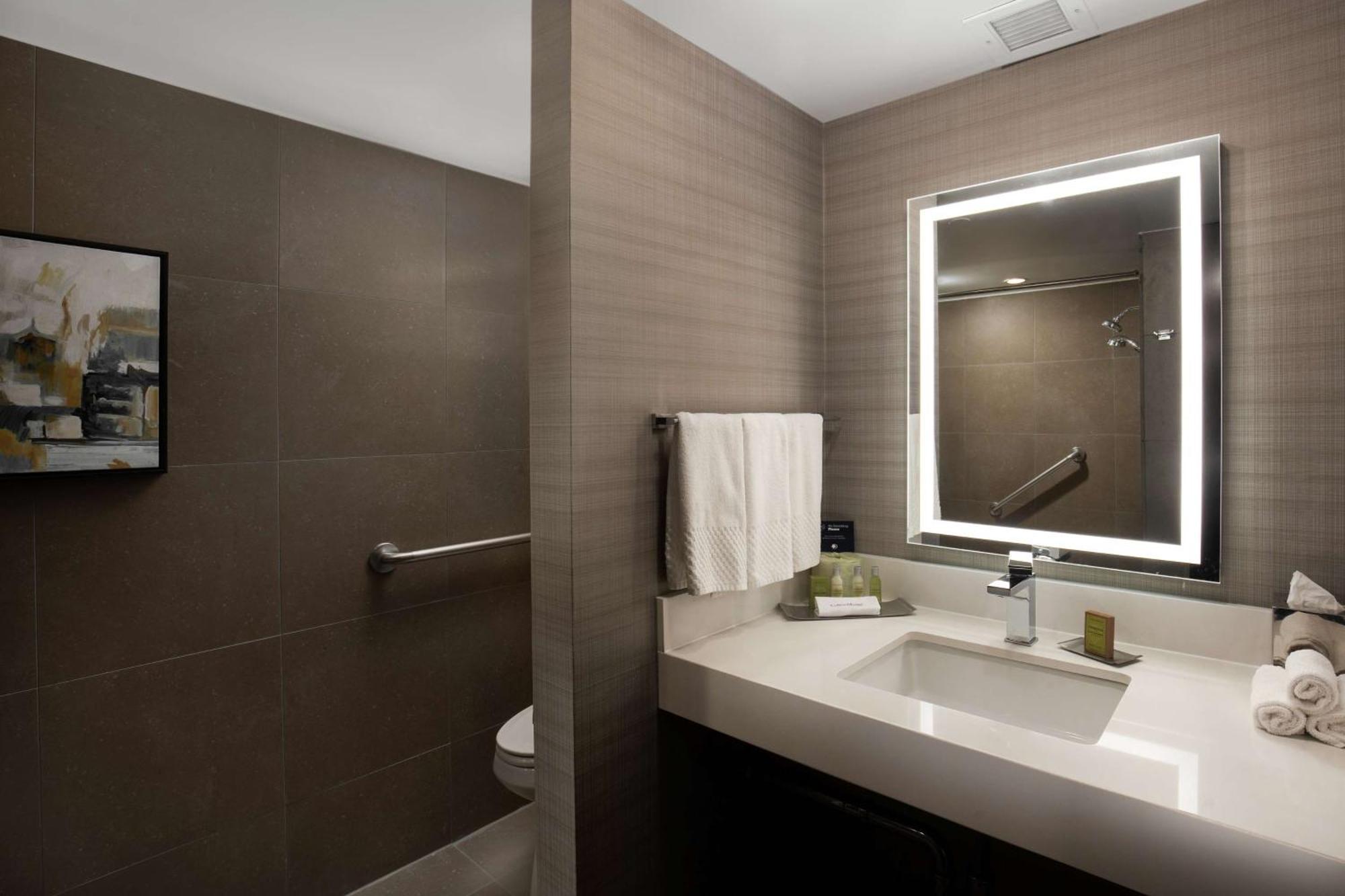 King Room Bath Tub Mobility Access,1557465628:JPEG