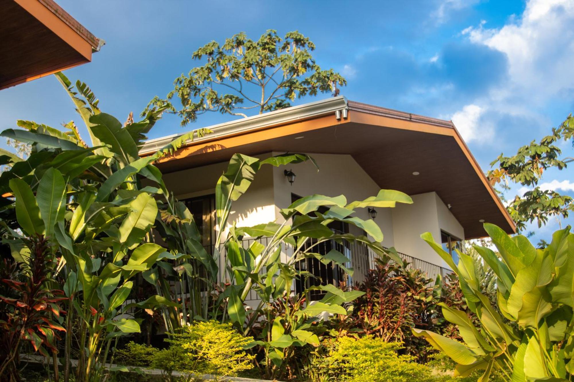 Premium Bungalow Volcano View