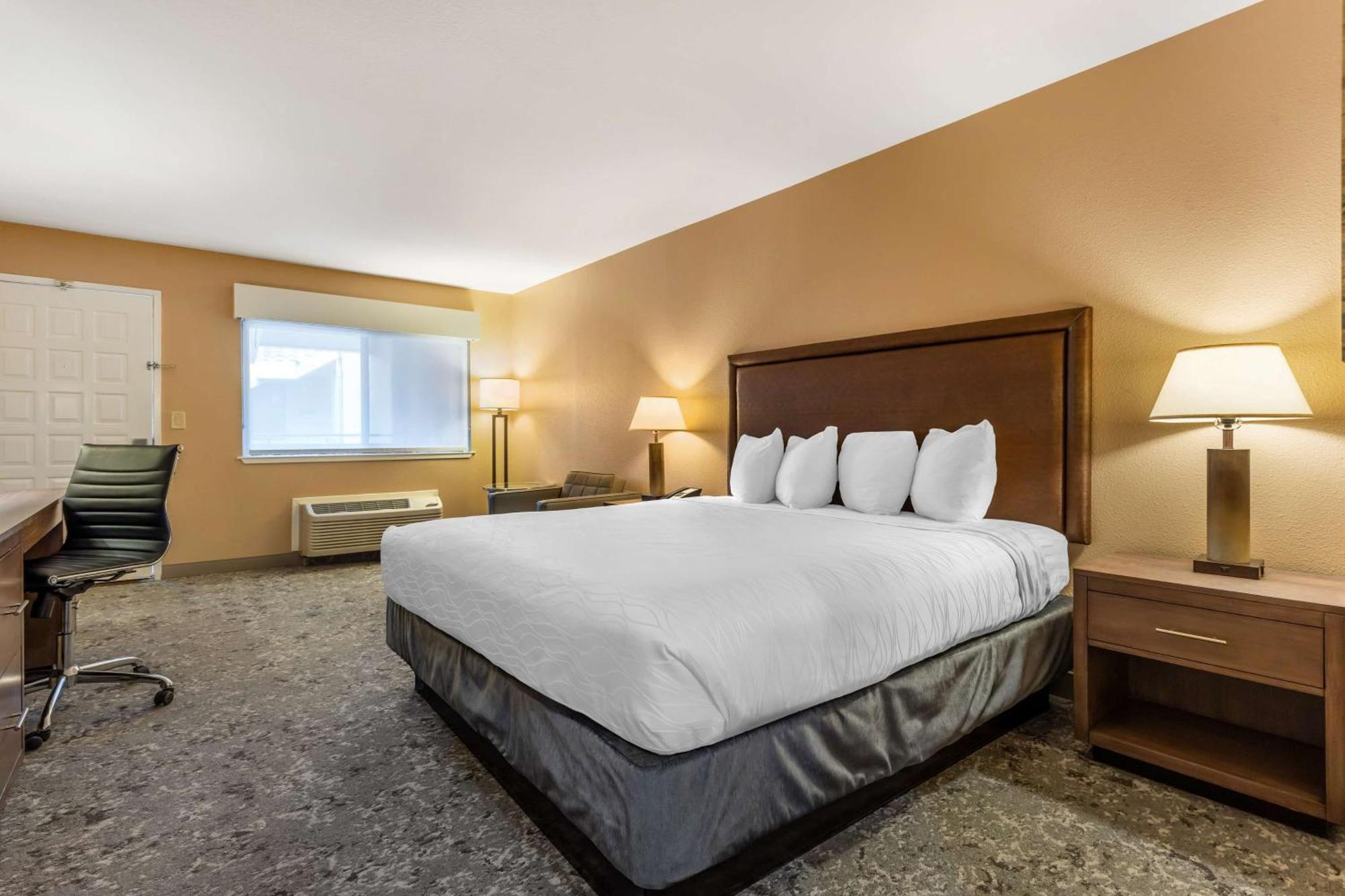 King Room - Non-Smoking