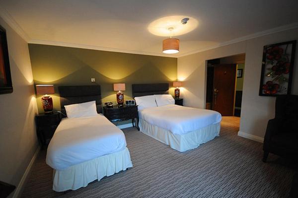 Superior Double or Twin Room