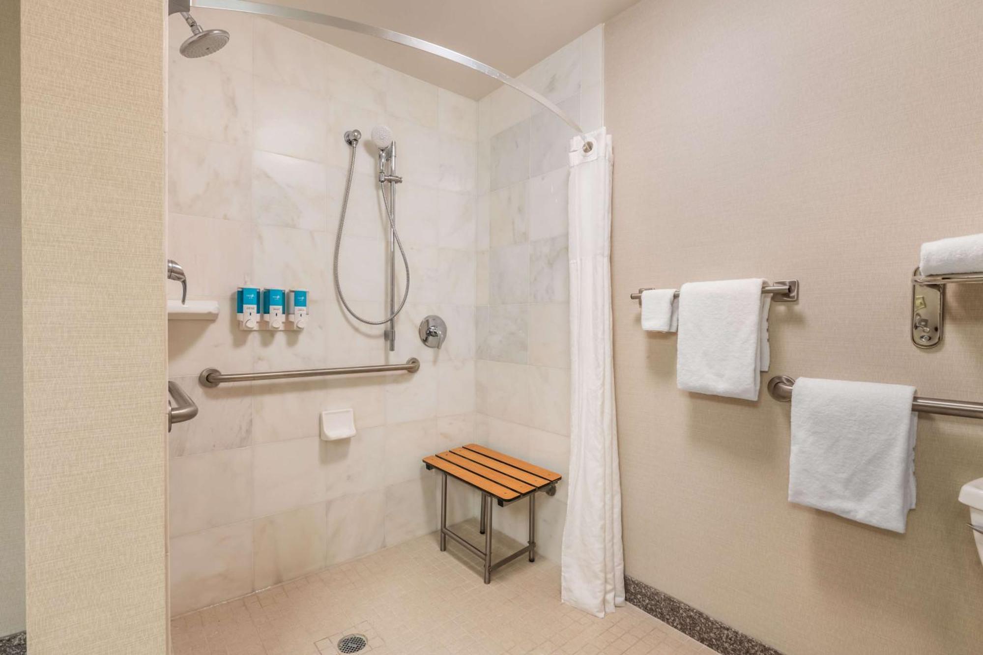 Deluxe King Room Accessible Roll Shower