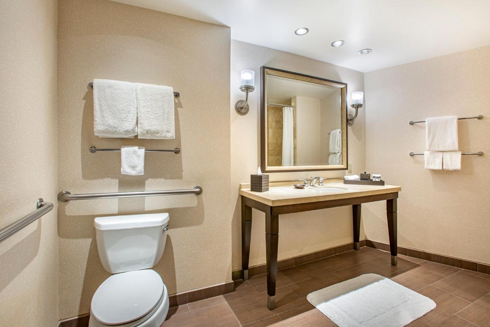 Accessible Deluxe Room Roll Shower 1 King Bed