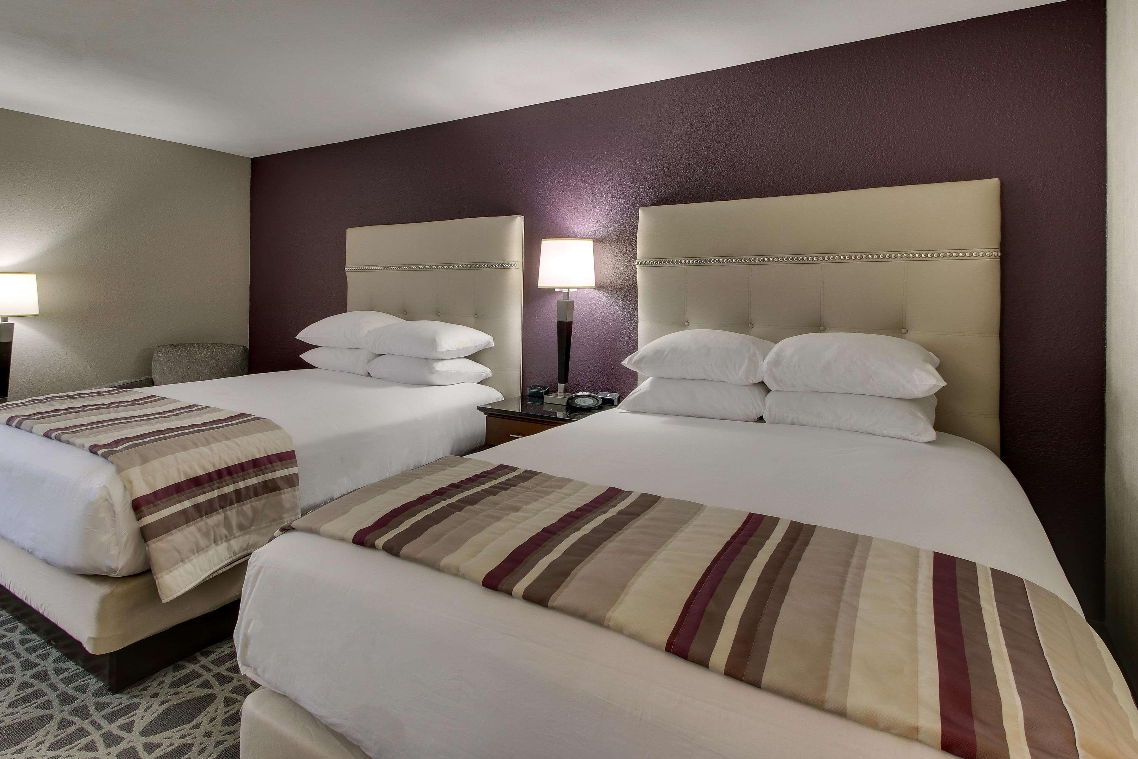 Queen Room Two Queen Beds