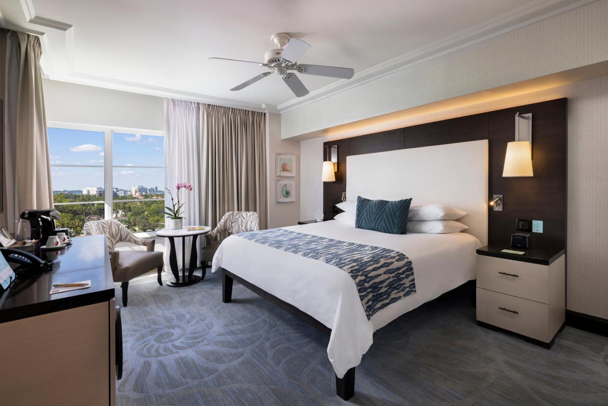 Superior City View 1 King Bed
