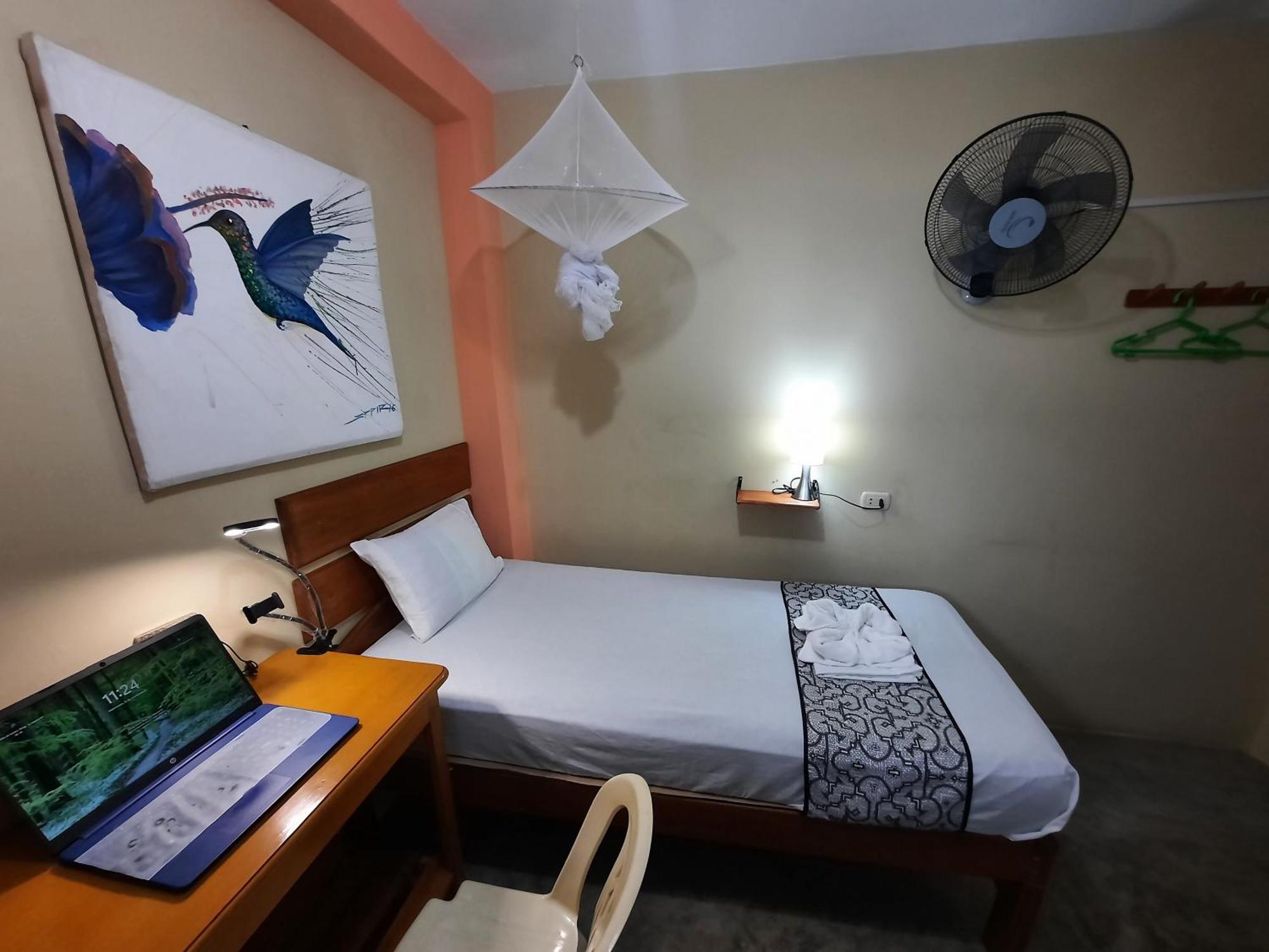 Economy Single Room