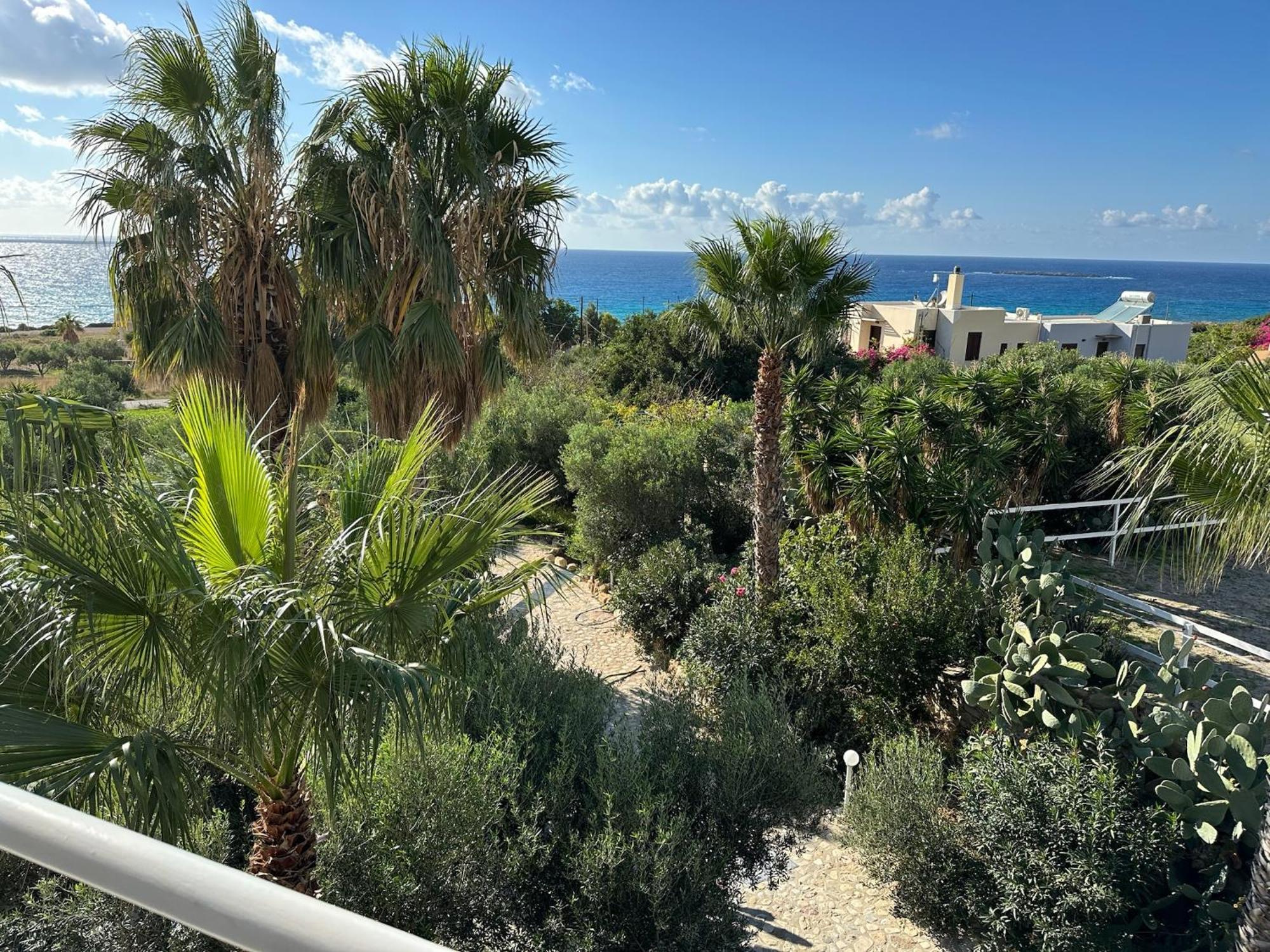 Studio Balcony