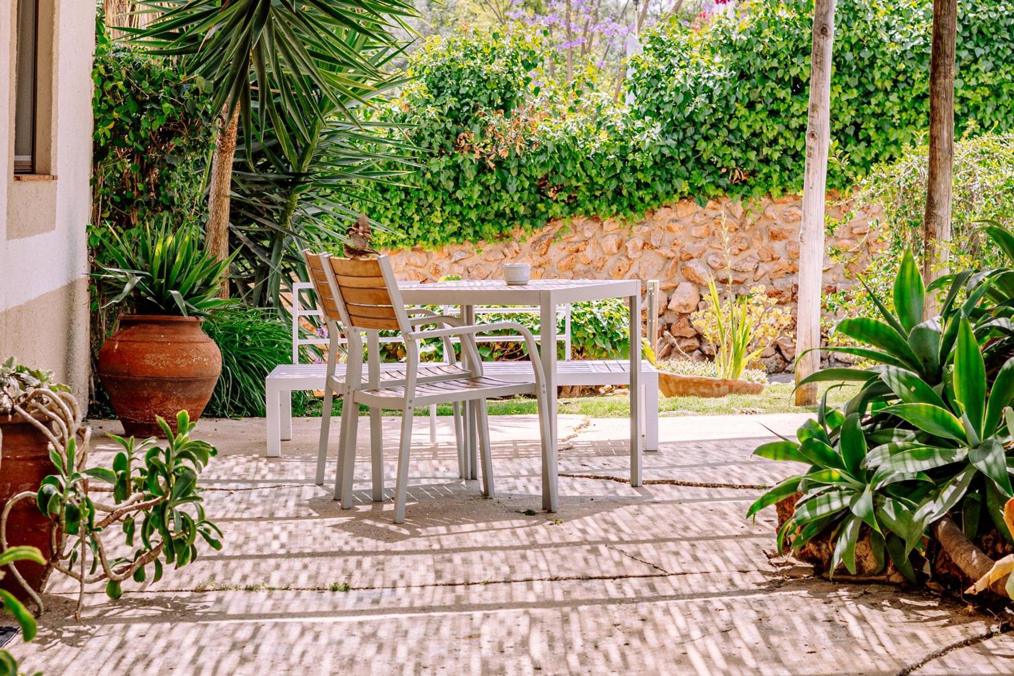Apartment Terrace
