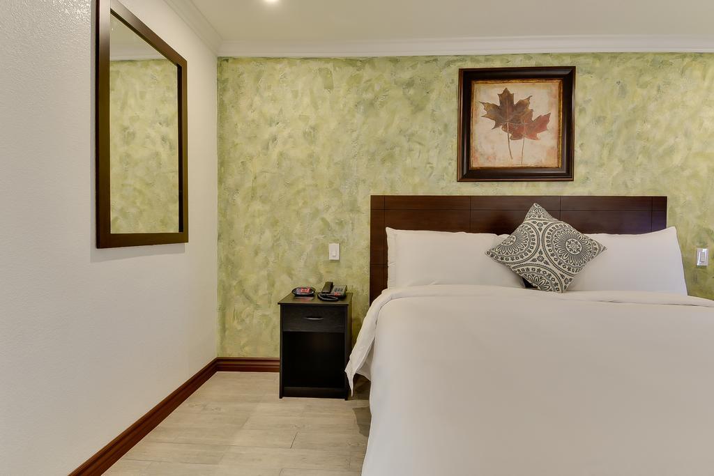 Premium King Room Non-Smoking