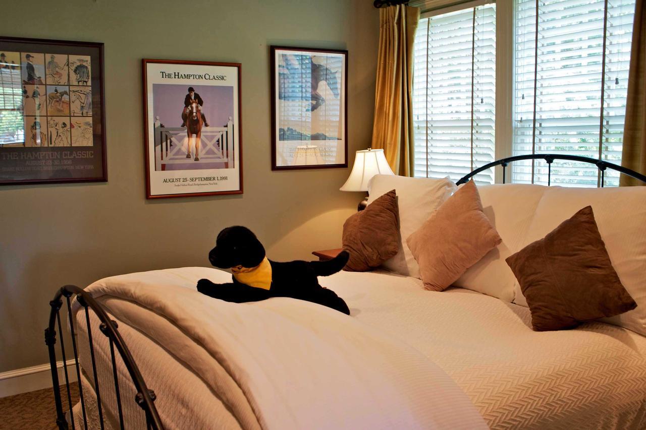 Suite Eleven Not Pet-Friendly