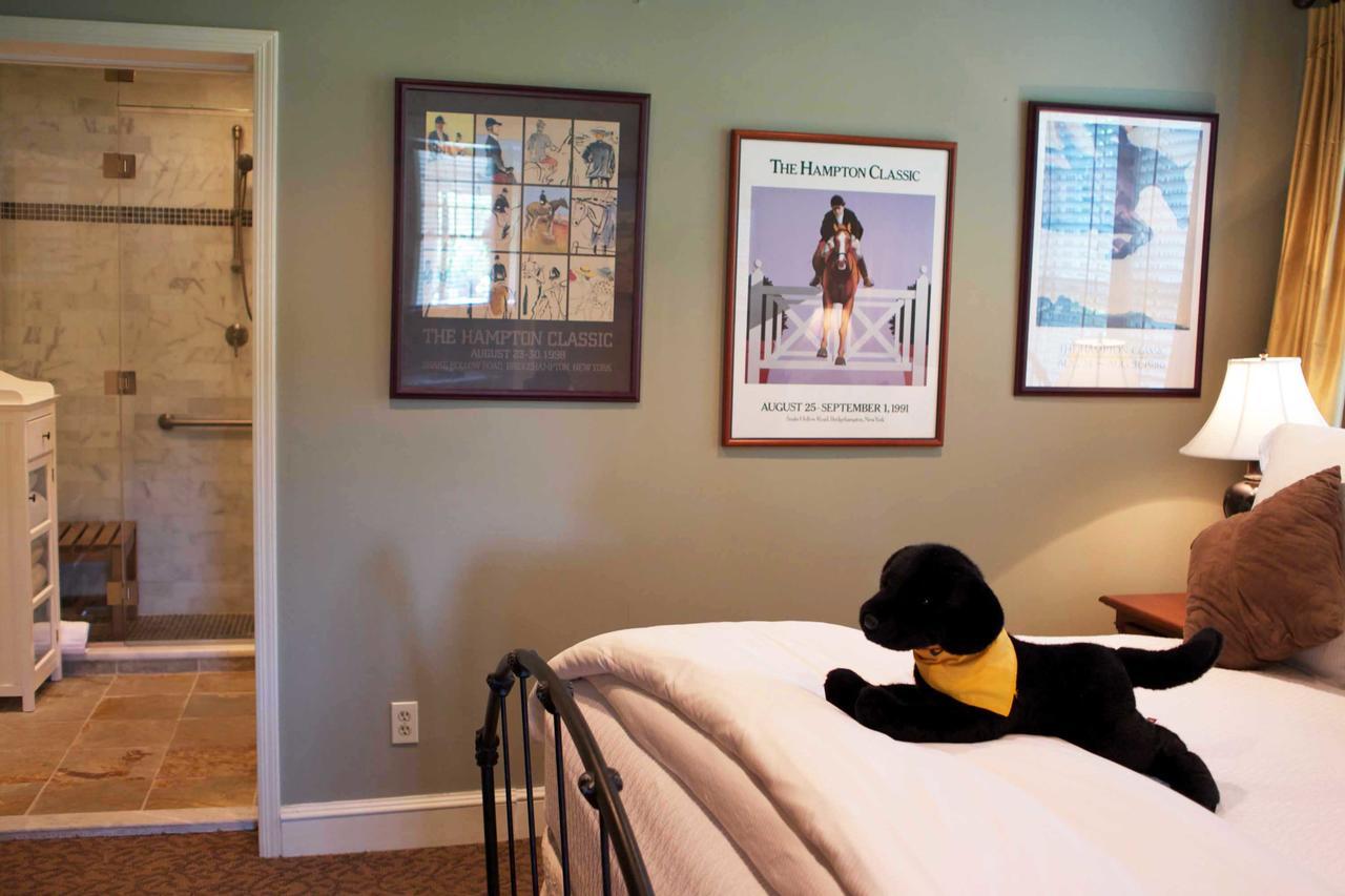 Suite Eleven Not Pet-Friendly