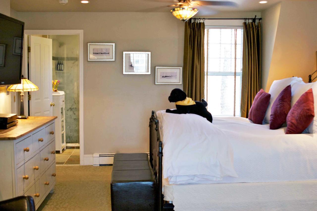 Suite Twelve Not Pet-Friendly