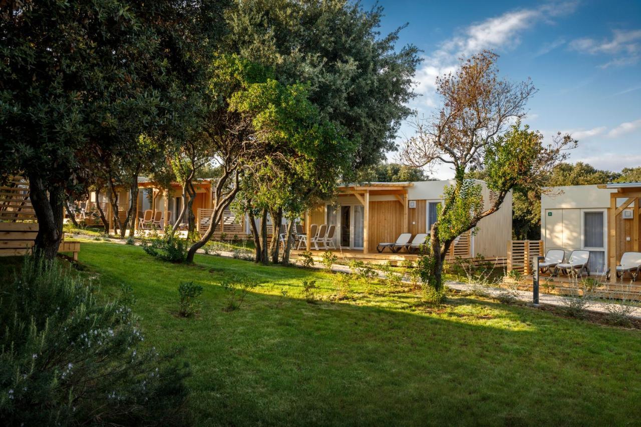 Casa Móvil Familiar de 3 dormitorios - Forest Escape