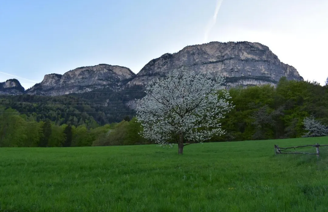 Gasthof Wieser-1