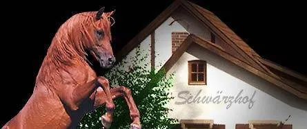 Landhotel Schwärzhof-1