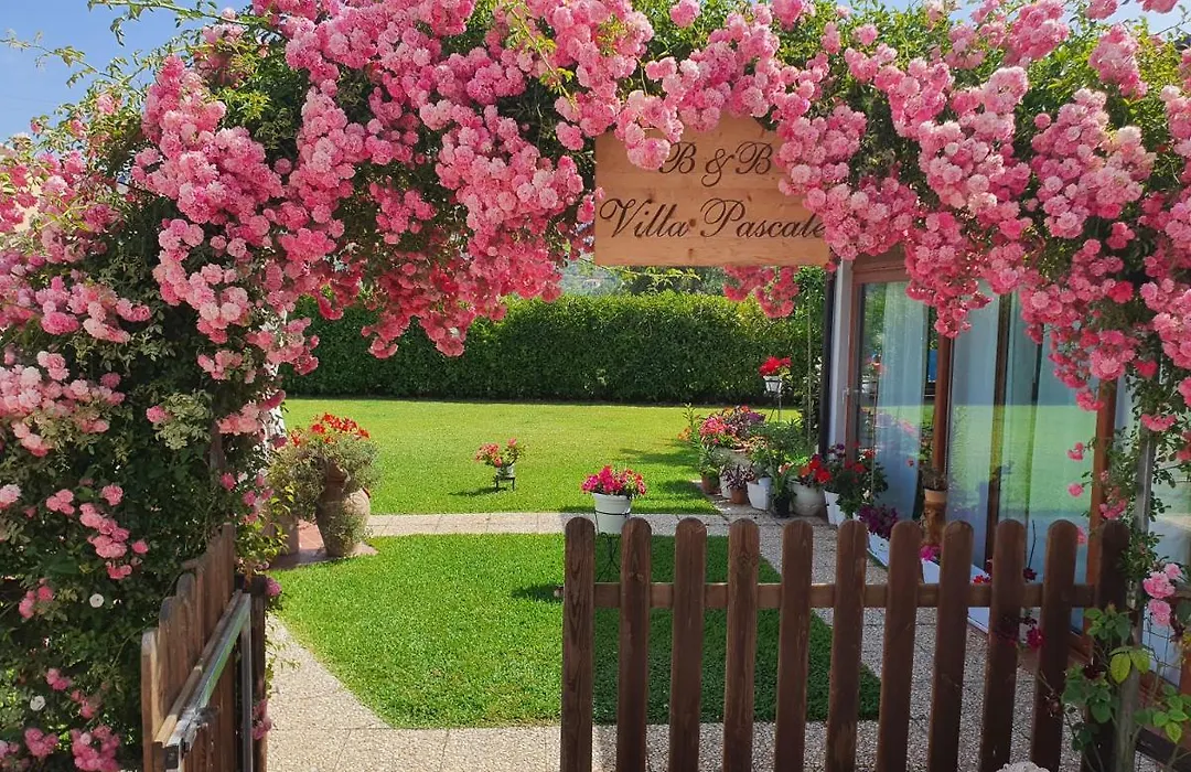 Villa Pascale - B&B - Casa Vacanze-1