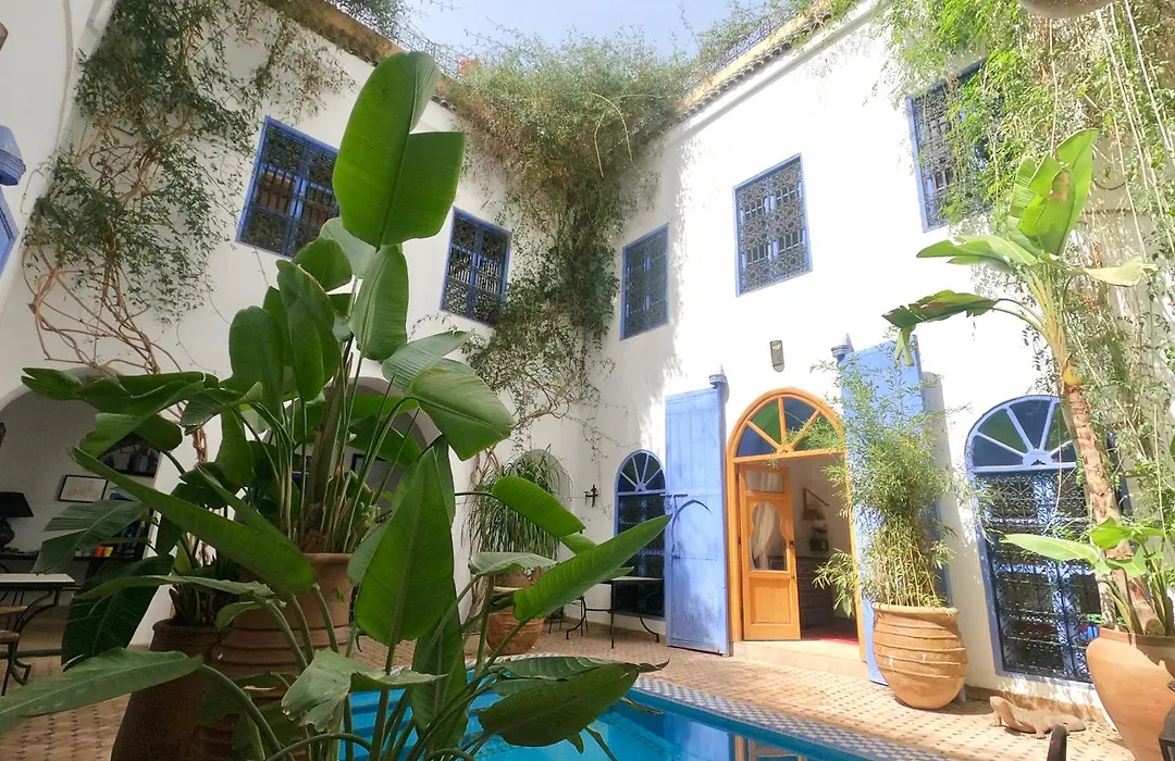 Riad Chameleon-1