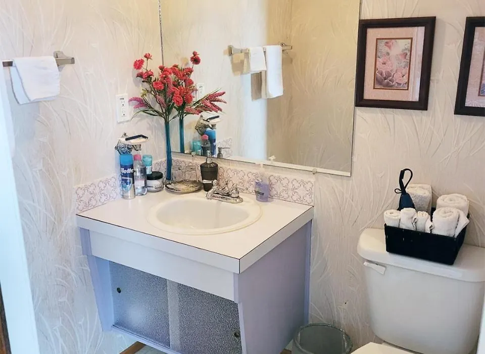 The Dewberry Homestay B&B-1