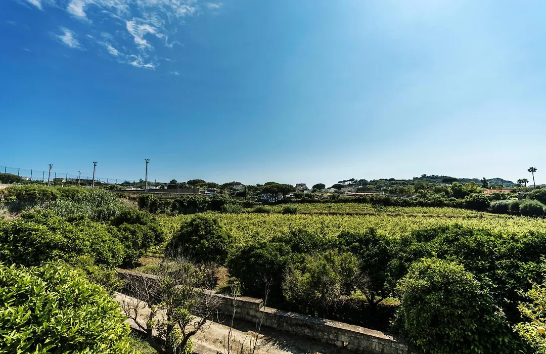 Tenuta Calitto wine resort e spa-1