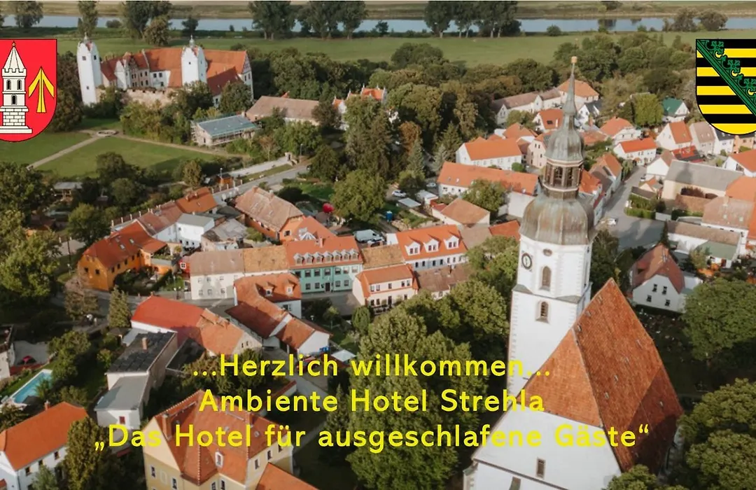 Ambiente Hotel Strehla-1