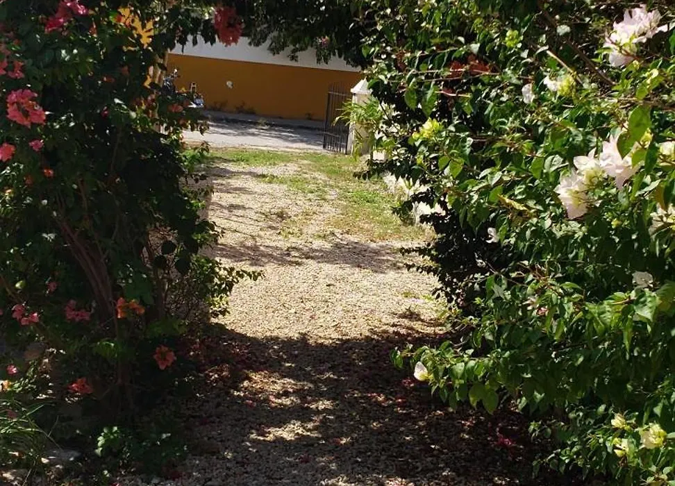 Casa Los Jarochos sencilla-1