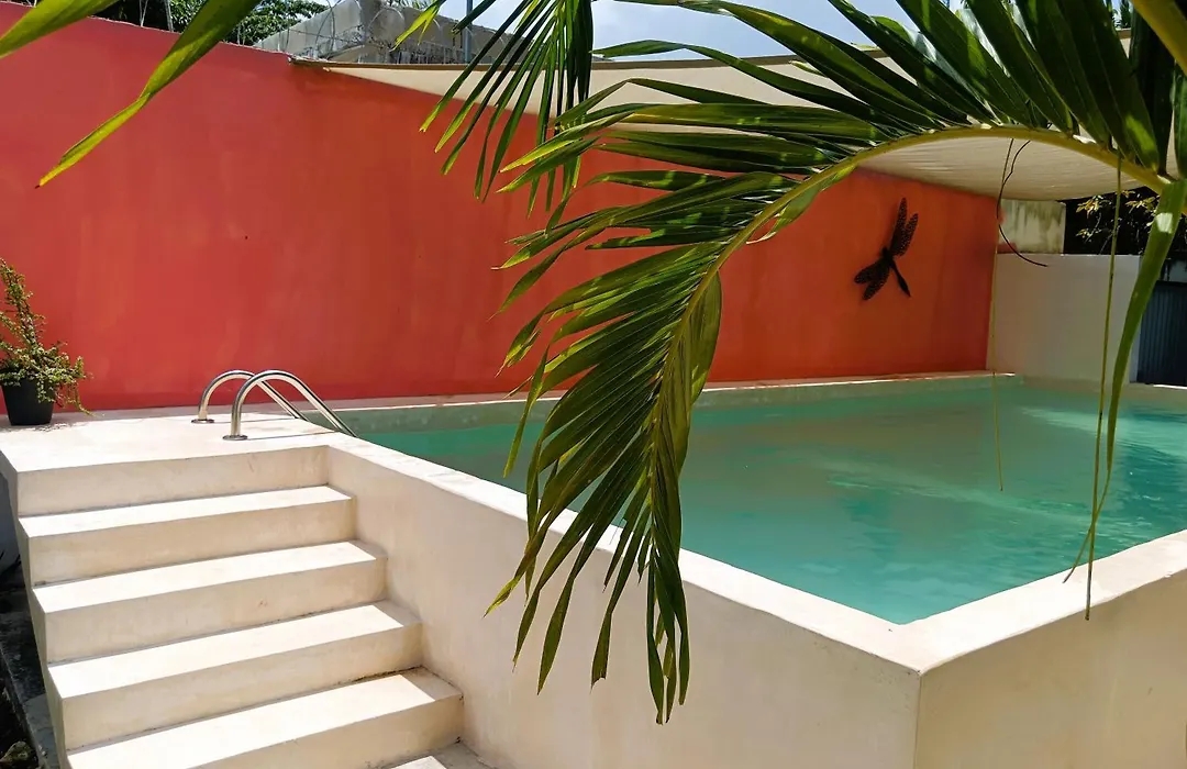 El Turix Bacalar-1