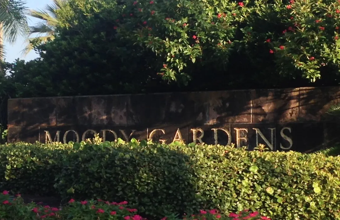 Moody Gardens Hotel Spa&Convention Center-1