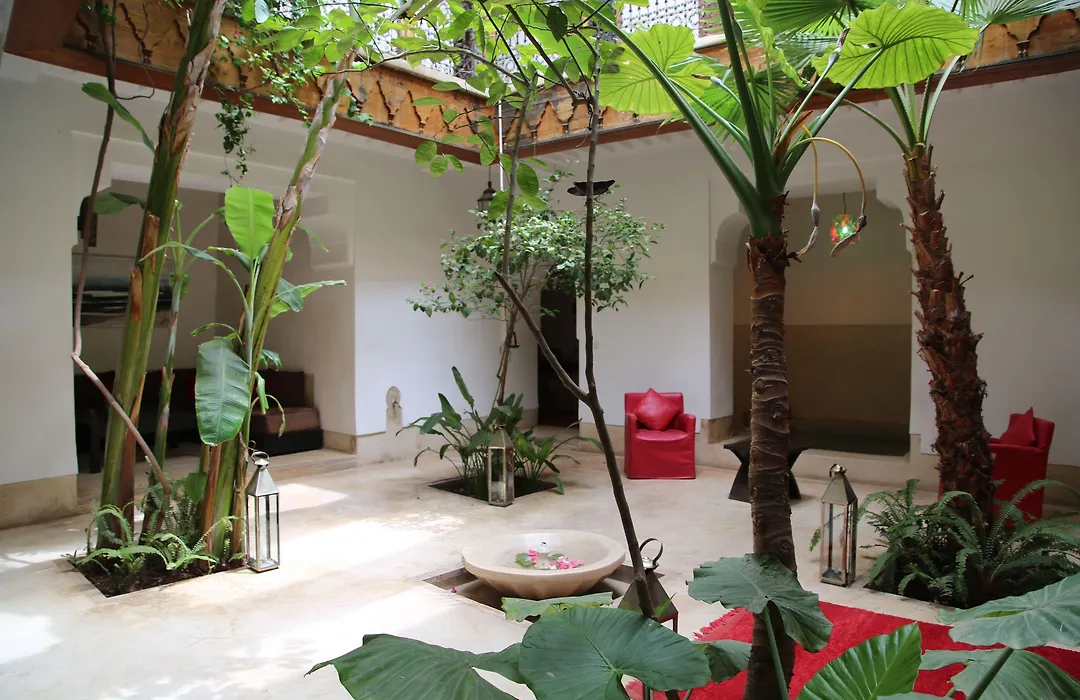 Riad Djebel-1