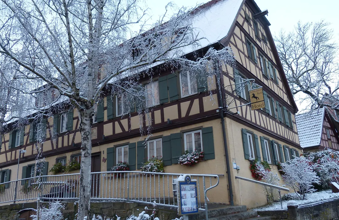 Landhotel Schwarzes Ross-1