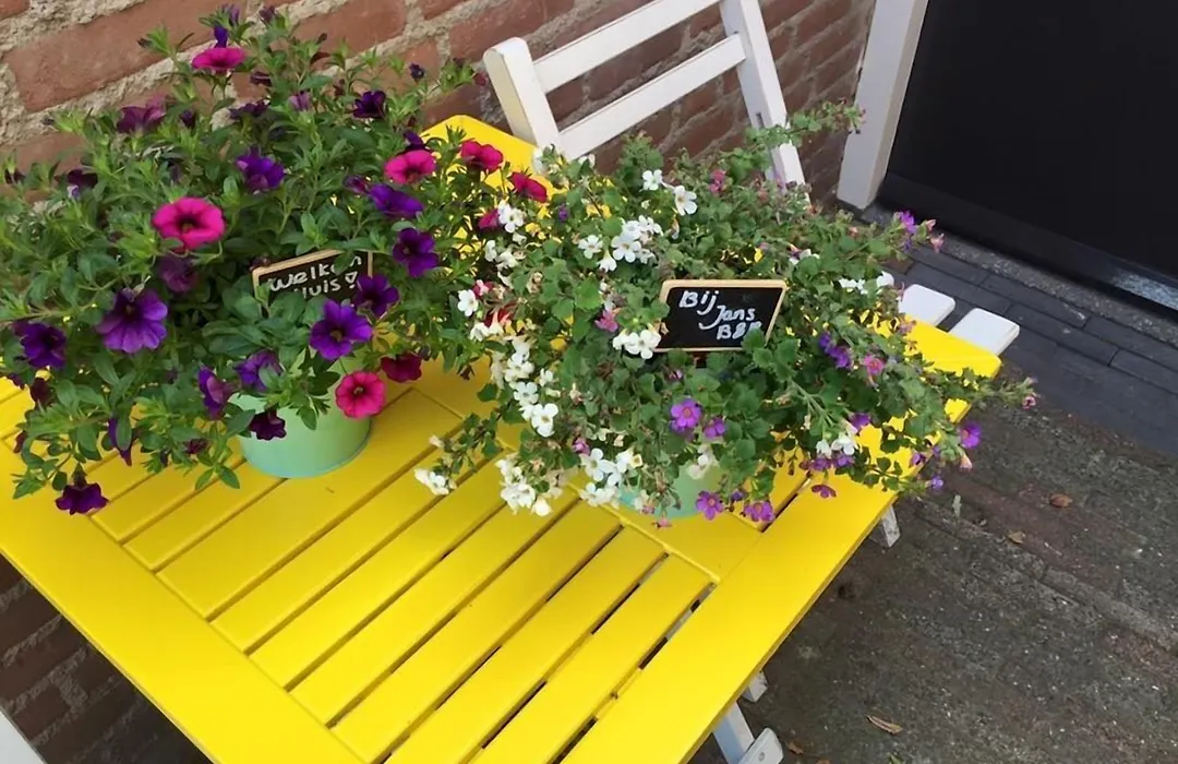 Bij Jans B&B-1