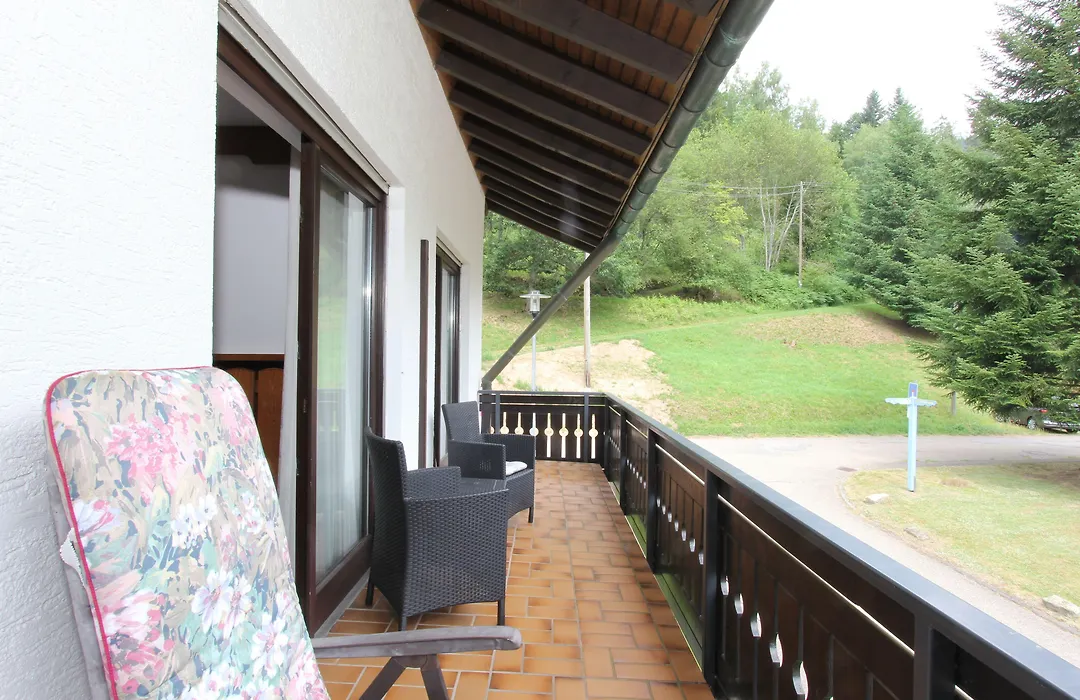 Hotel Schwarzwaldschaefer-1