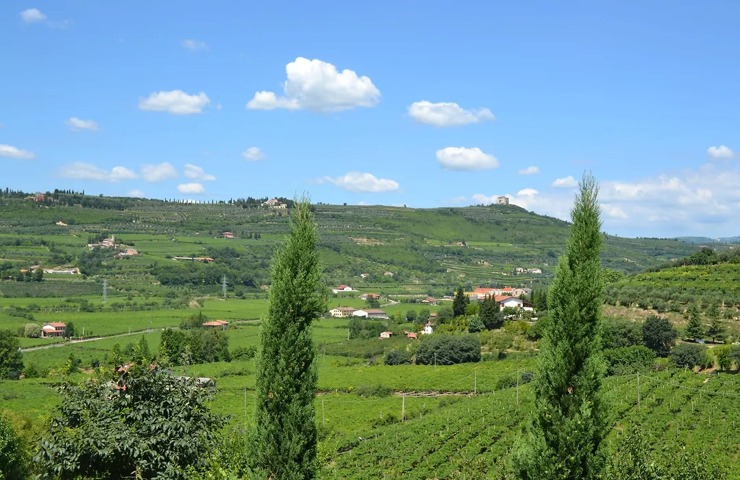 Corte Tamellini-1