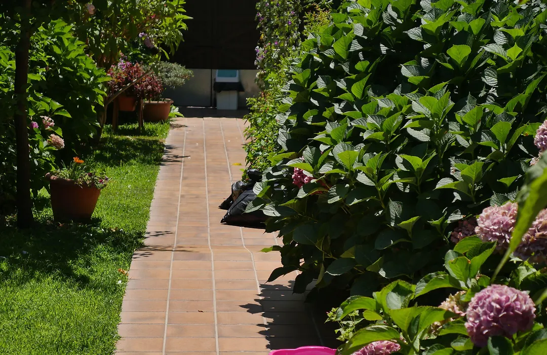Hotel Doñana Blues-1
