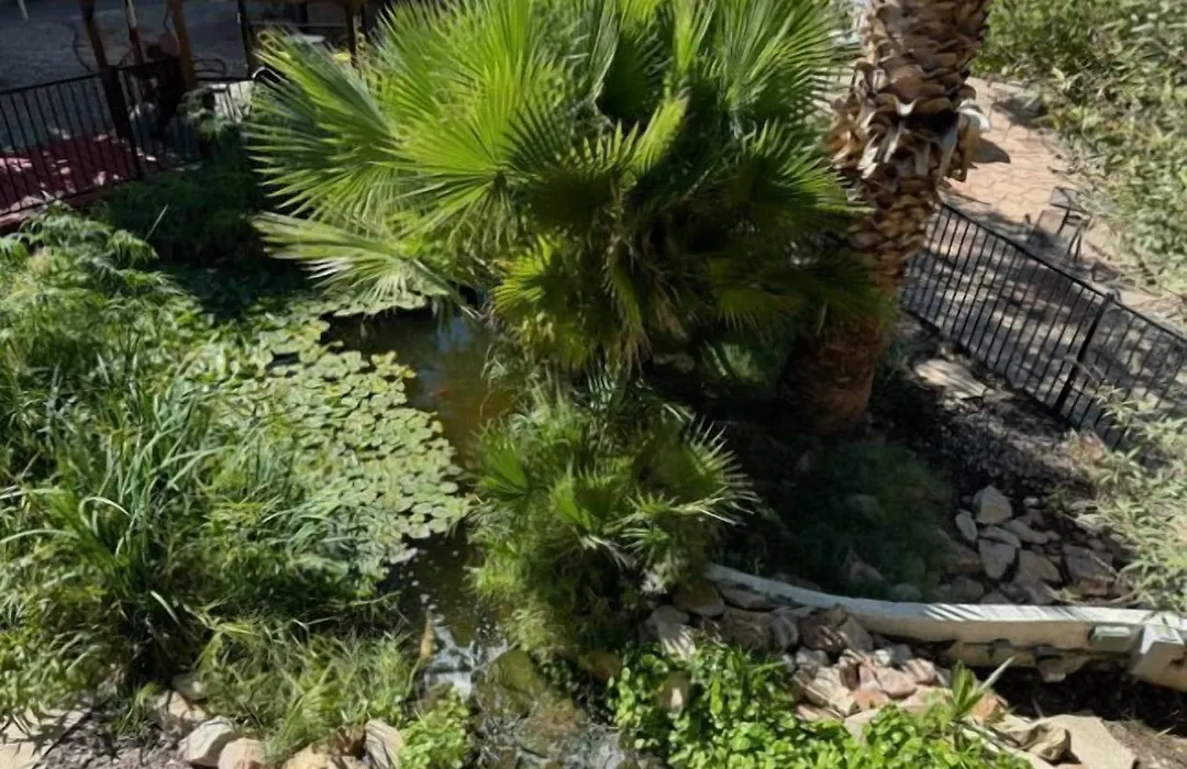 Big Chile Inn & Suites-1