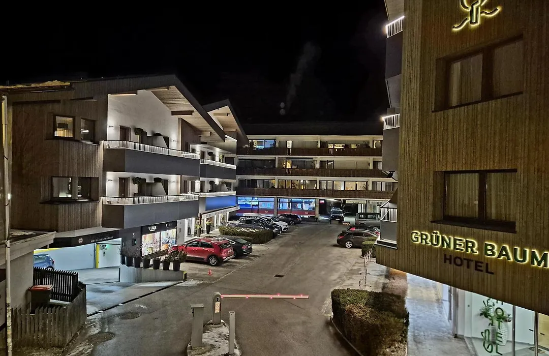 Hotel Grüner Baum-1