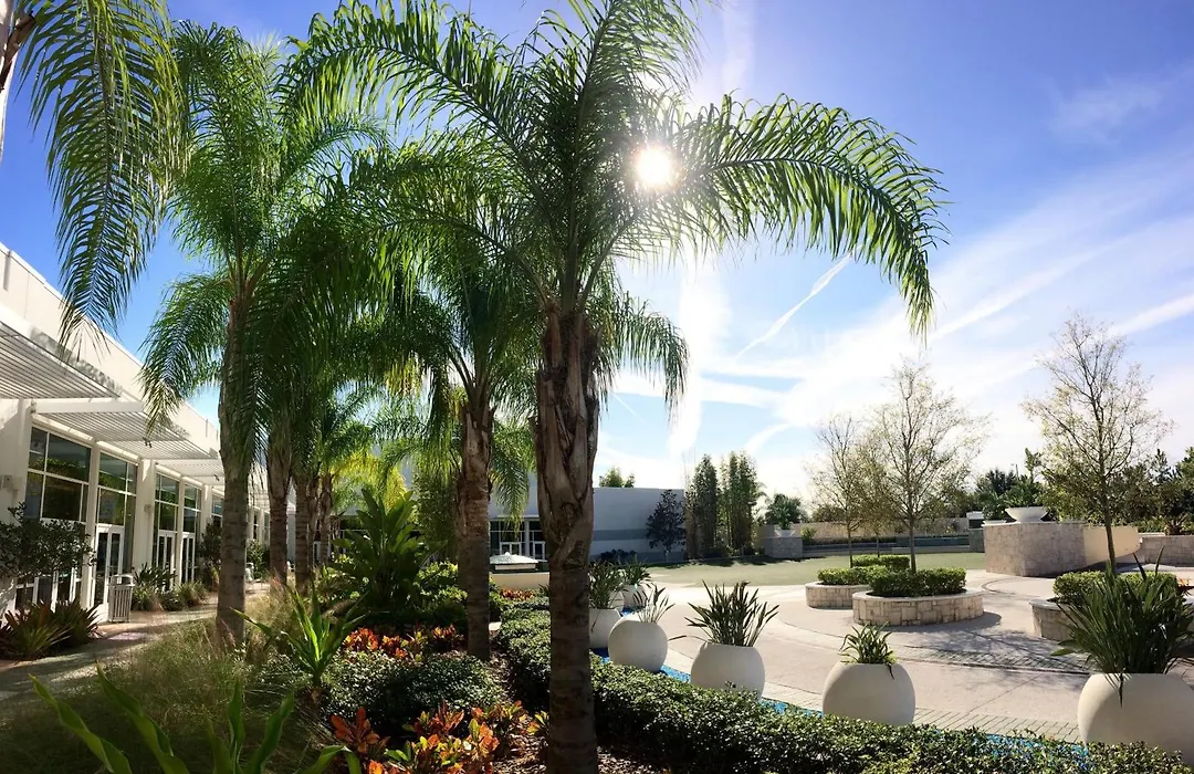Hilton Orlando-1