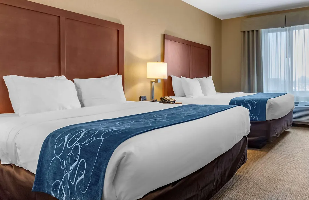 Comfort Suites Airport-University-1